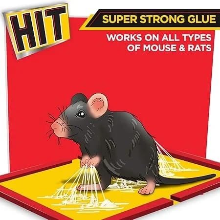 HIT Rat Glue Pad Pack of 5 | Strong Adhesive Mouse Trap | Odourless & Ready to Use | Non-Toxic Sticky Rat Catcher for Home, Kitchen & Office Image 2